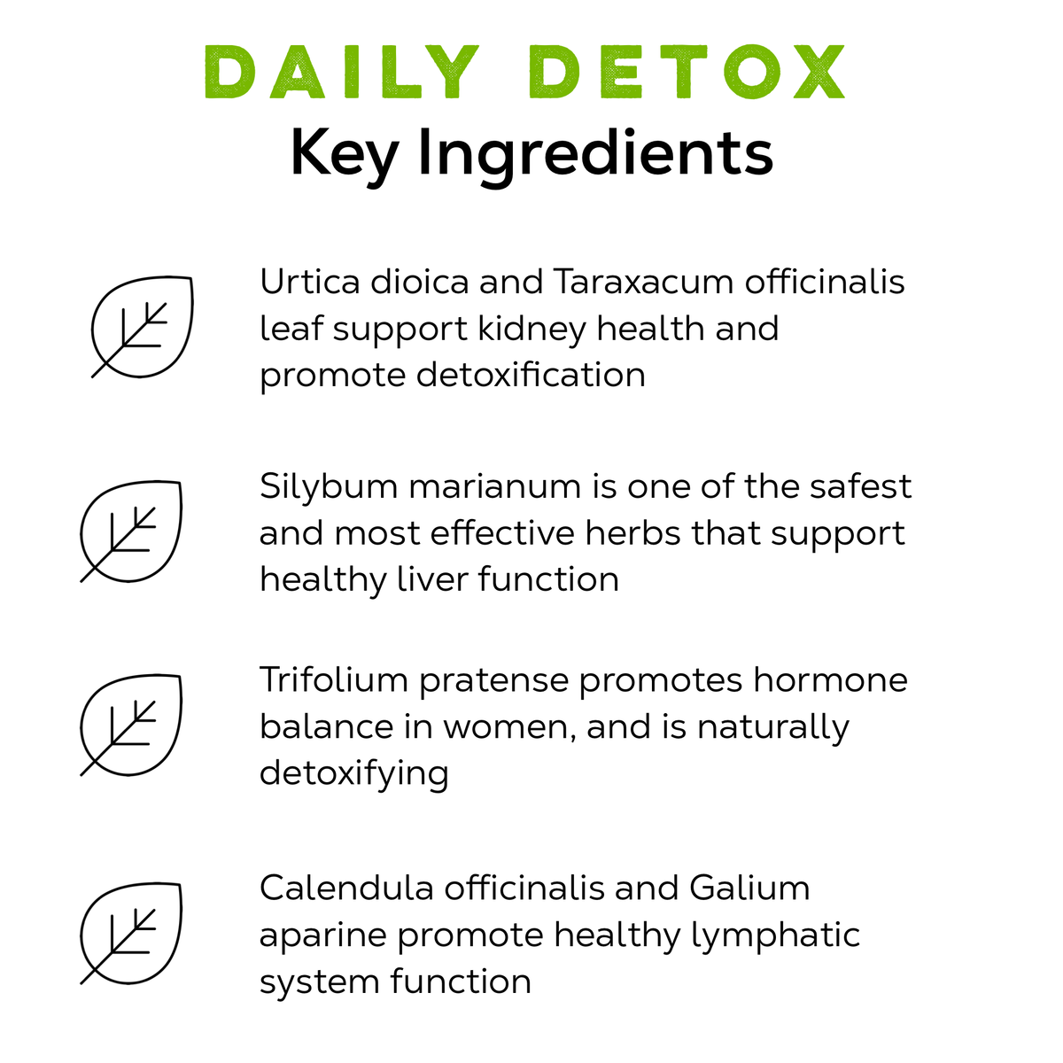Daily Detox Tea