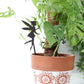 Fairy Plant Stake