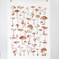 Mushroom Pattern Tea Towel - Global Hues Market